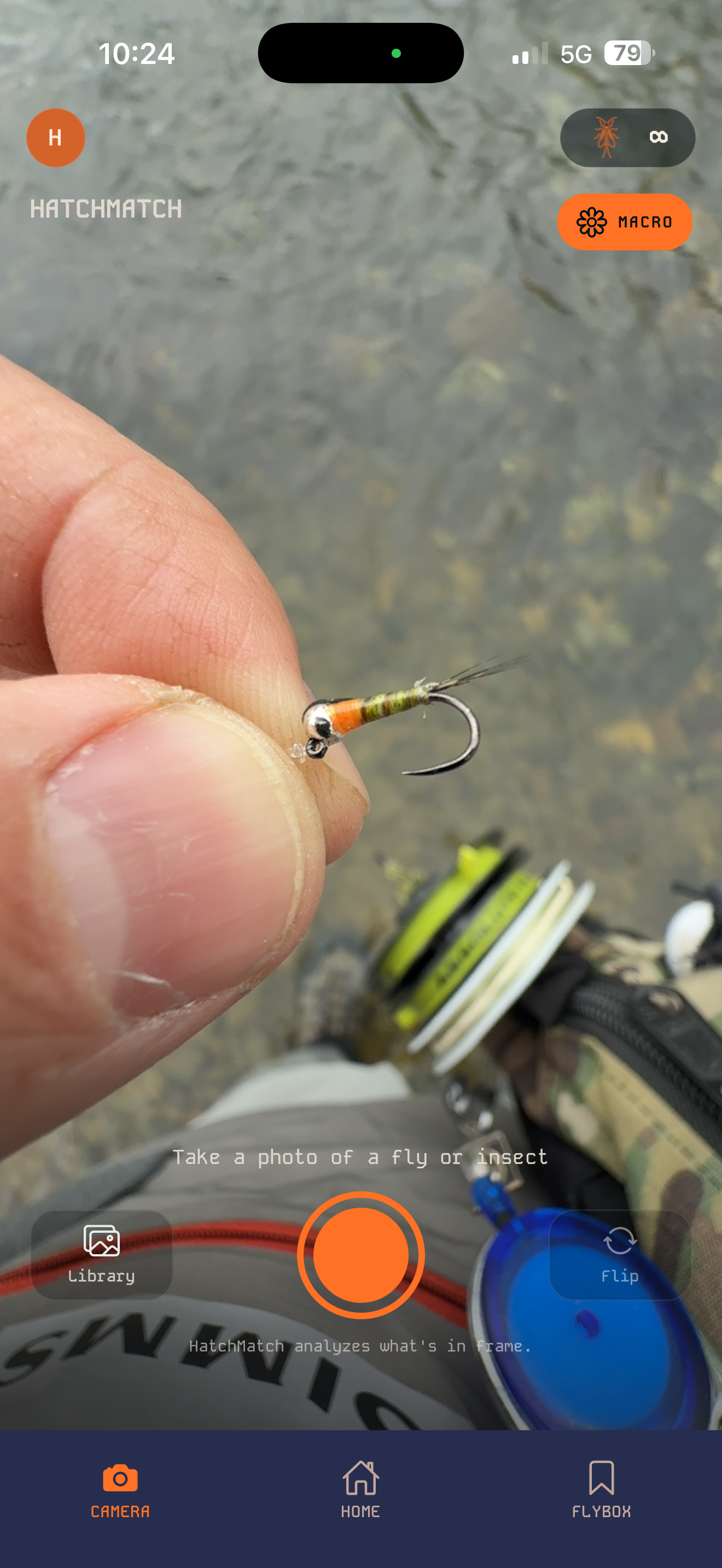 HatchMatch capture screen — snap a photo of a tied fly