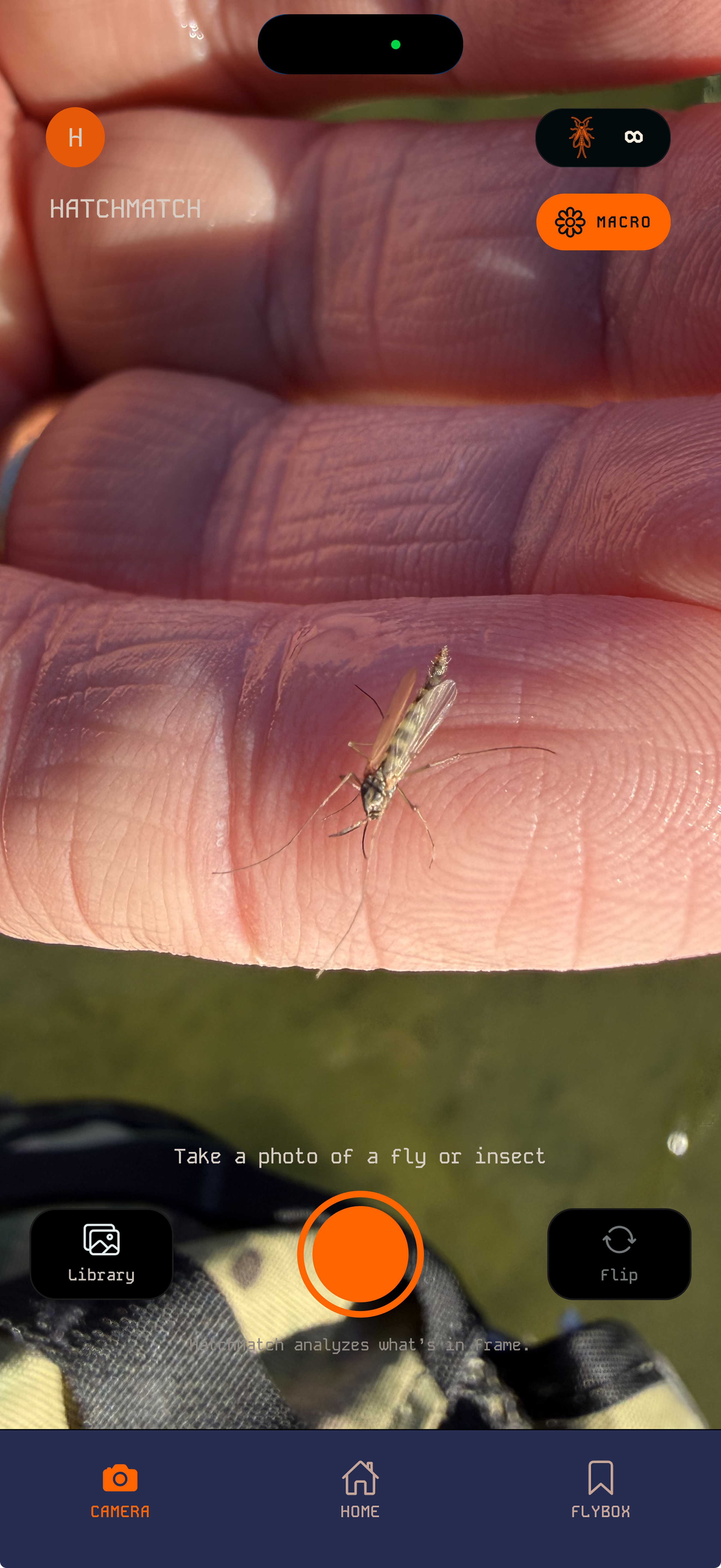 HatchMatch capture screen — snap a macro photo of an insect on the river